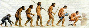 evolucion del hombre